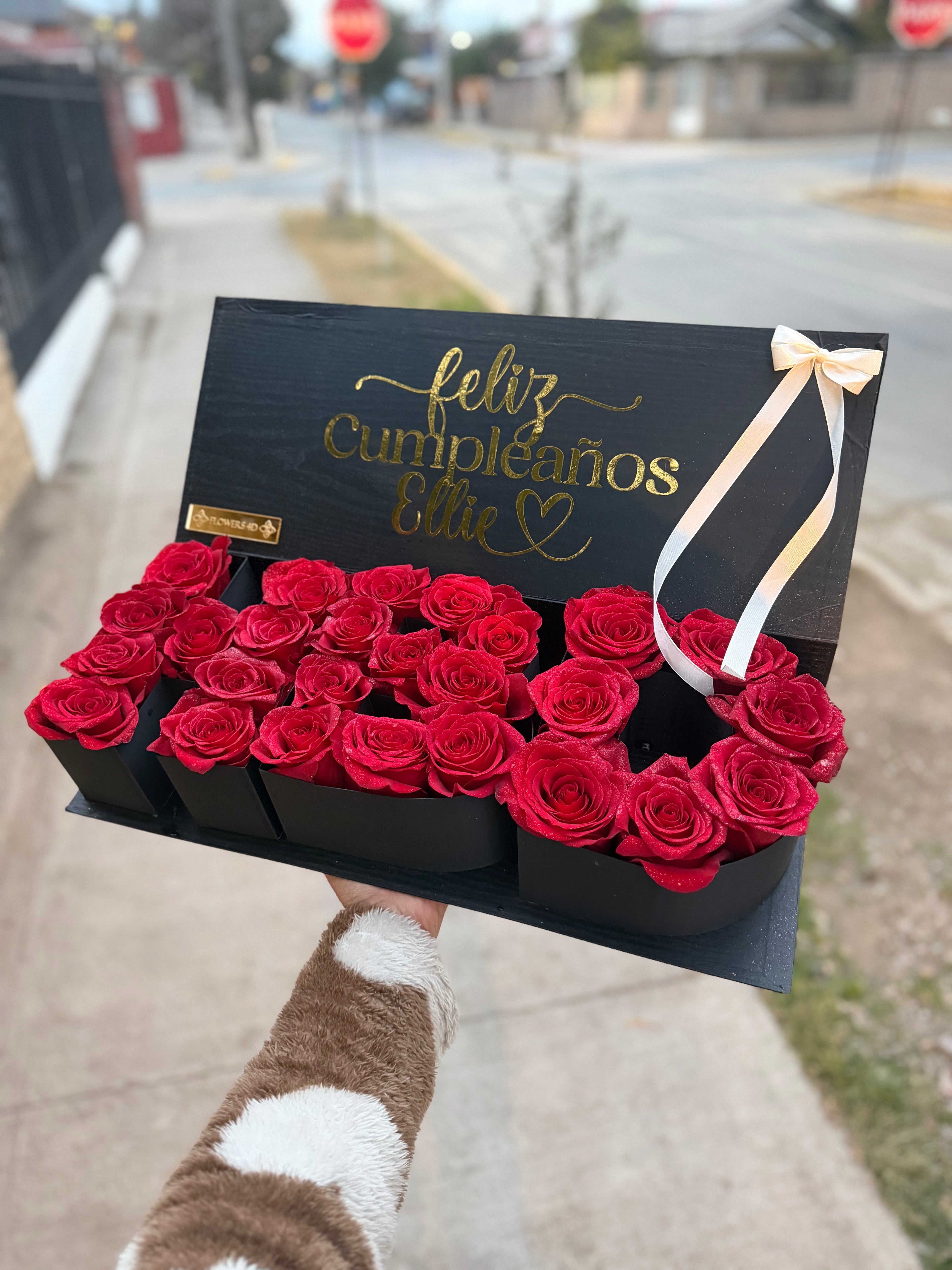 set HBD